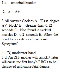 Lab Exam 1